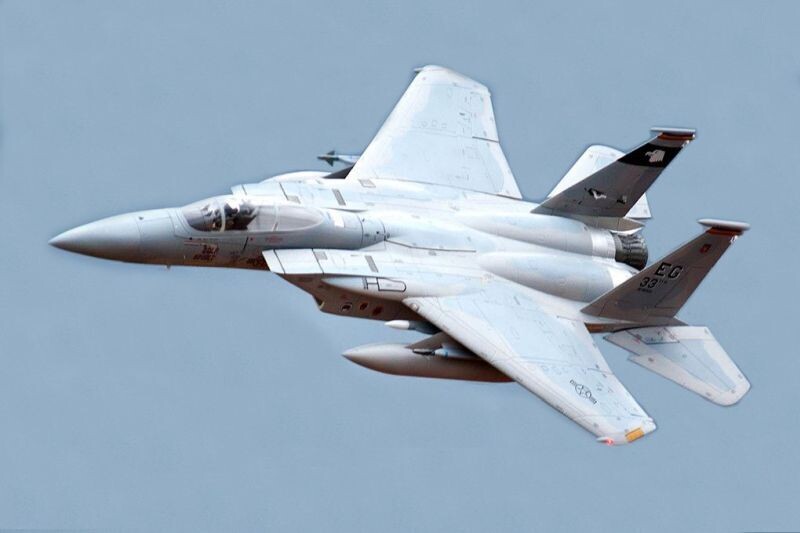 Freewing F-15 Eagle - Power-Version, 90mm EDF, Spw 965mm, PNP