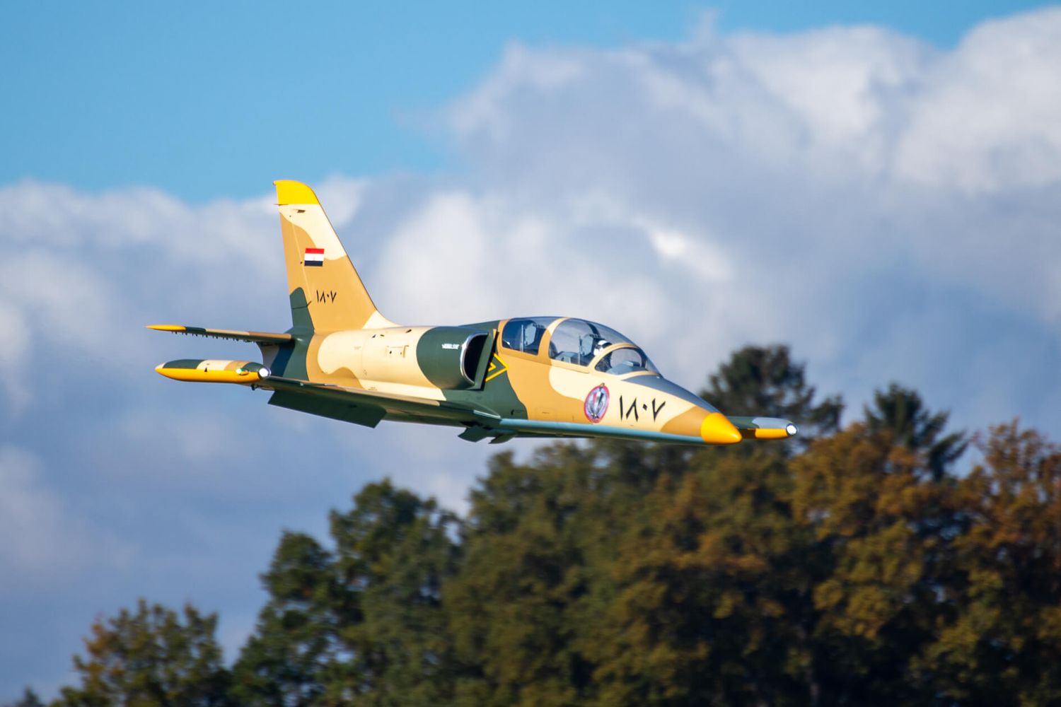 L39 Albatros 2,7 m Voll GFK/CFK Bausatz weiß