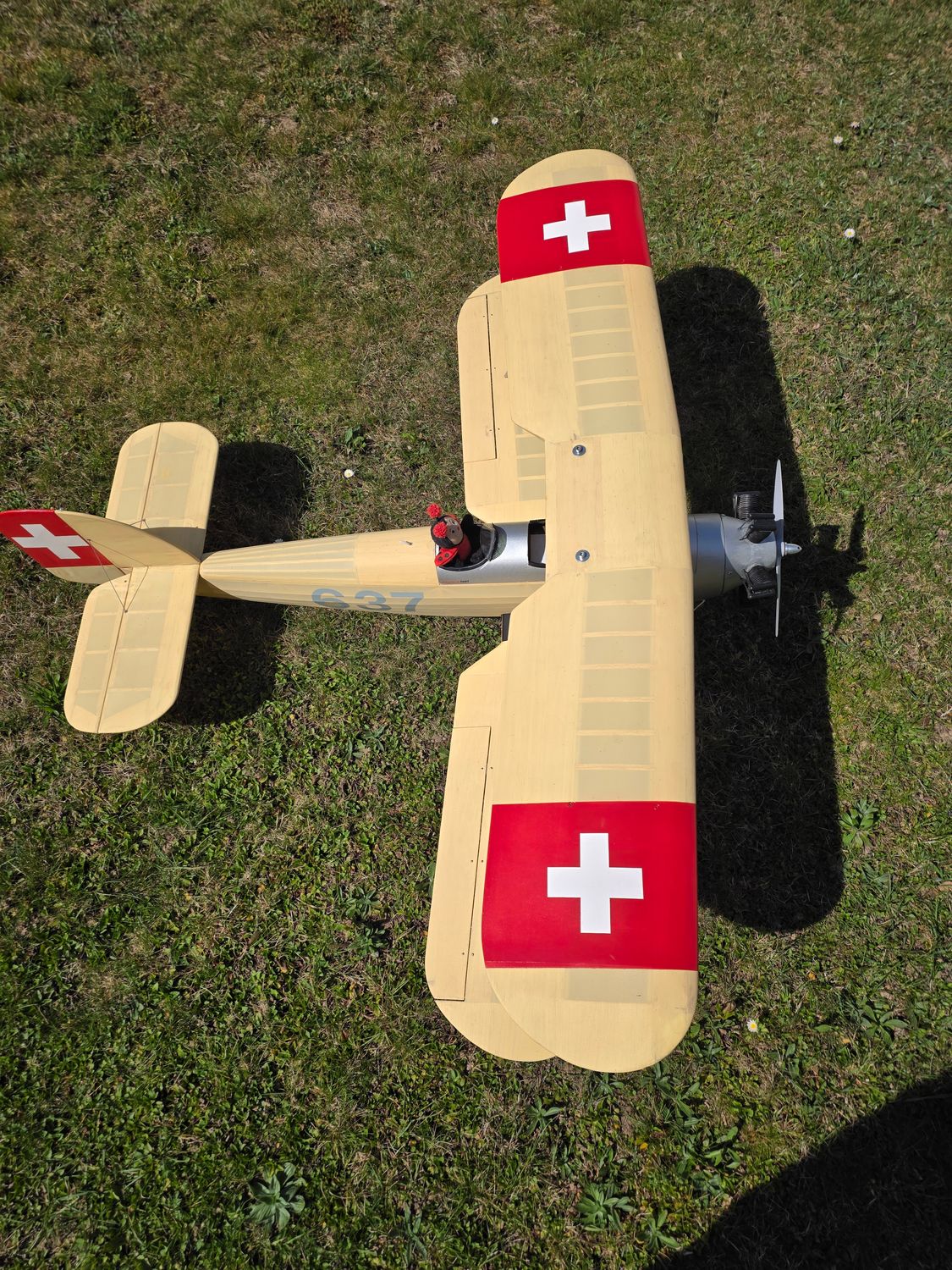 Hawker Tomtit mit Sternmotor-Attrappe