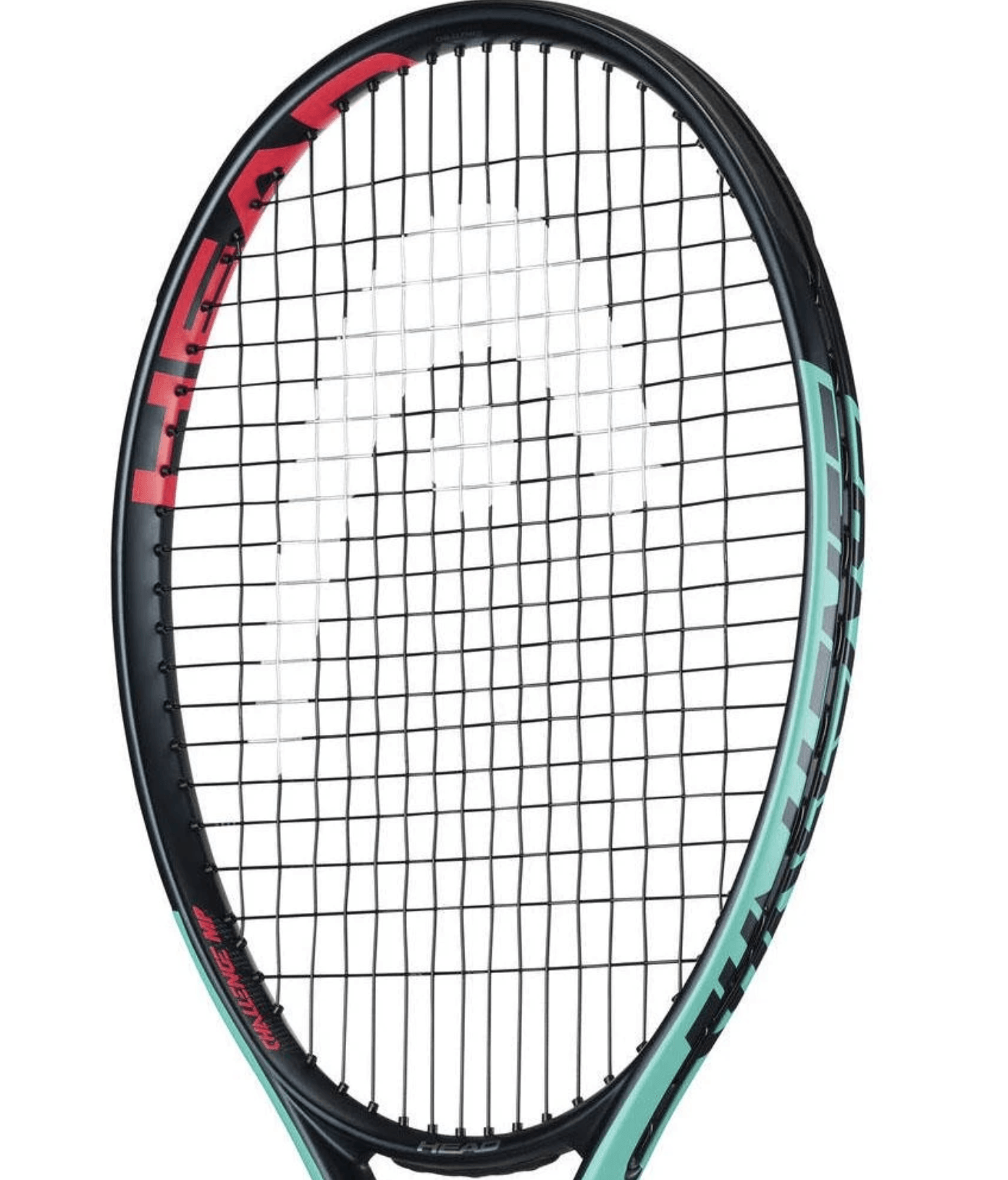 Head IP Challenge MP