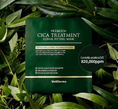 WELLDERMA Premium Cica Treatment Repair Fitting Mask