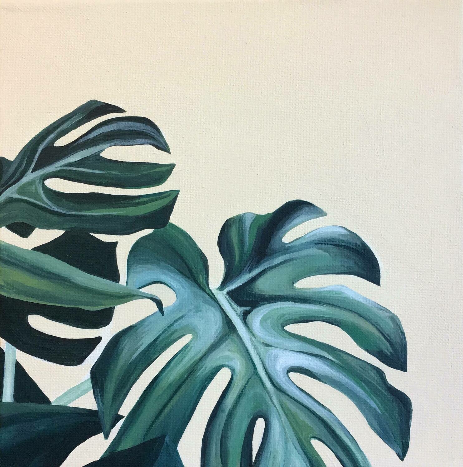 Philodendron Study