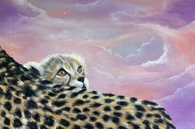 Baby Cheetah's Universe