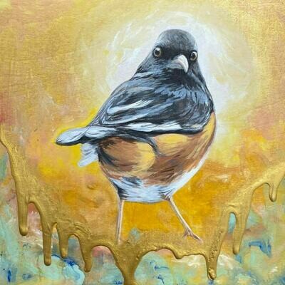 Eastern Towhee birdie on wood panel board
