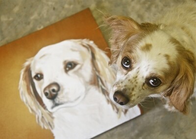 16x20 Custom Painted Pet Portrait