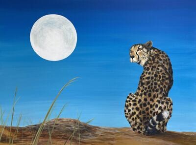 Print of Cheetah's Moon