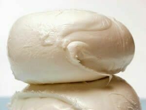 Quesillo Especial