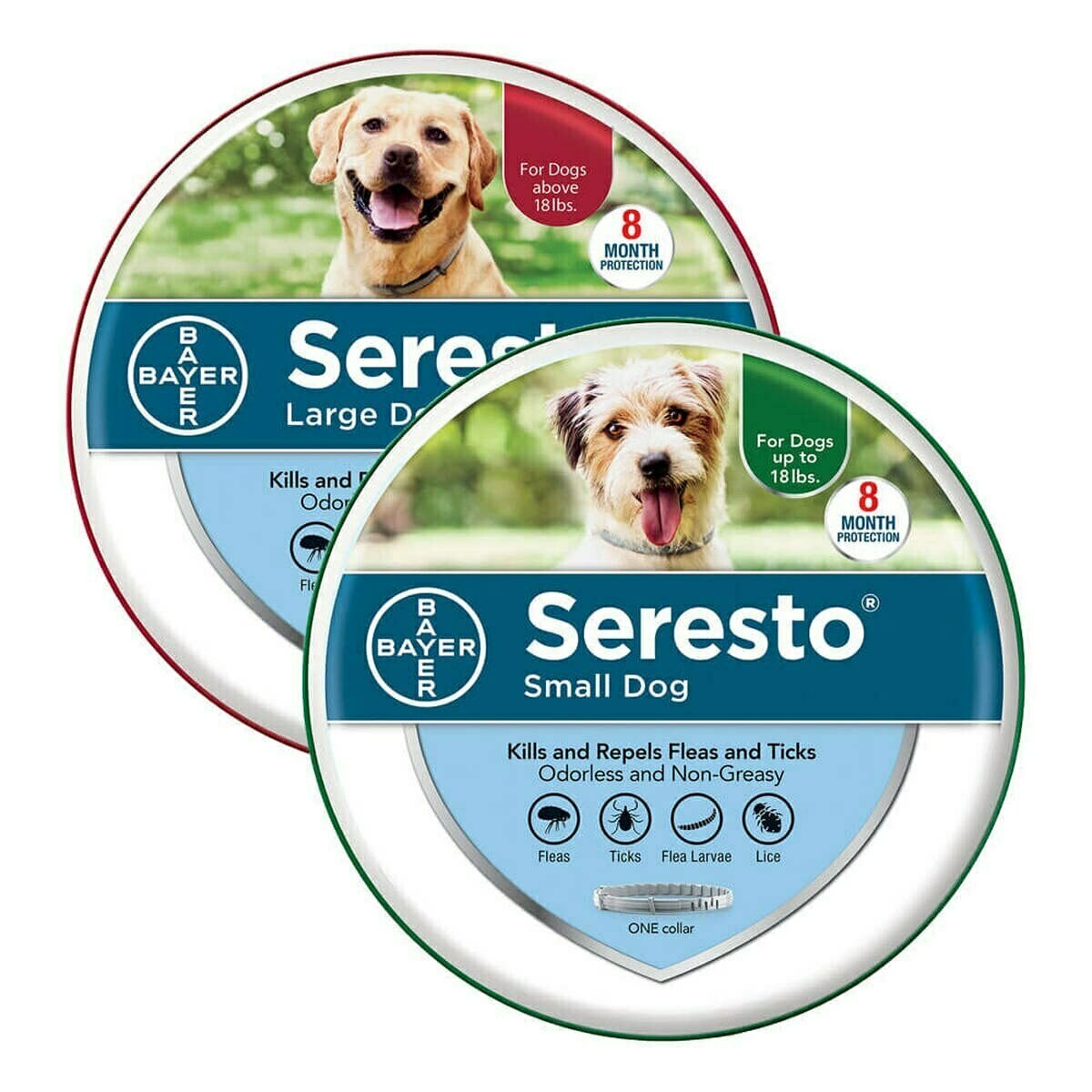 flea collars for dogs near me