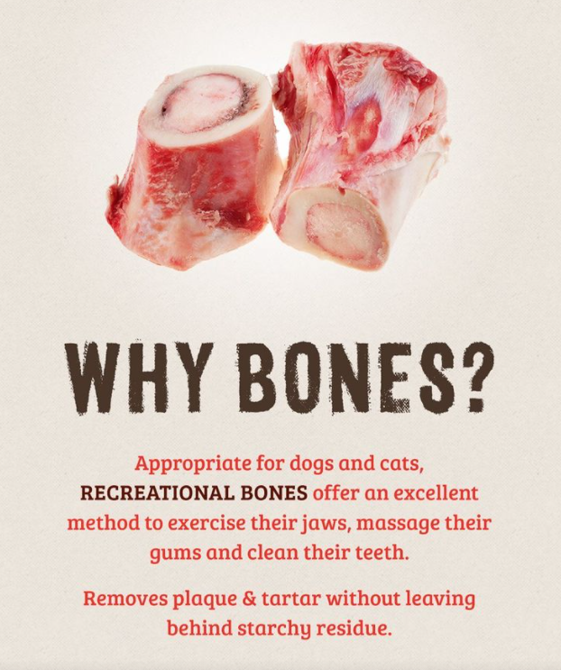 recreational bones