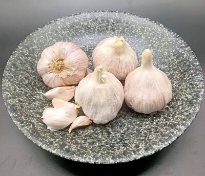 Local Garlic Bulb