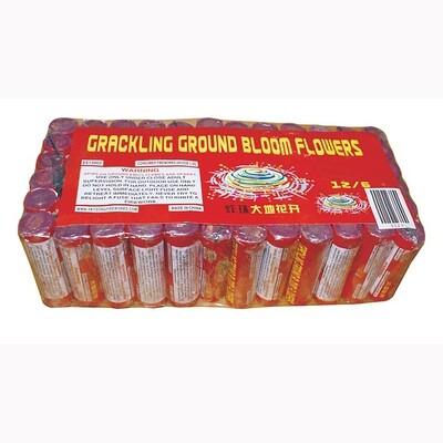 CRACKLING GROUND BLOOM FLOWER - (20/12/6)