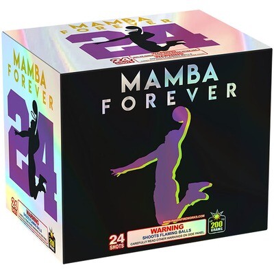 MAMBA FOREVER - 24 Shot cake - (12/1)