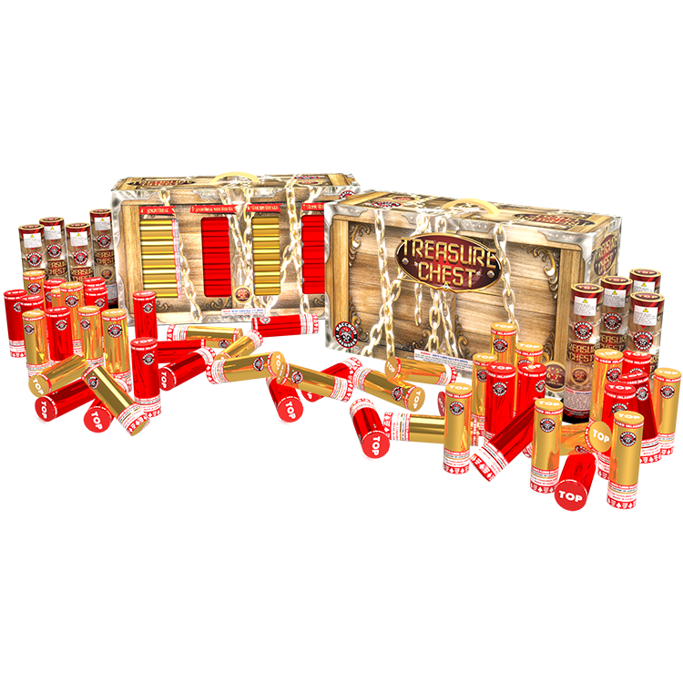 TREASURE CHEST CANISTER SHELL ASSORTMENT - (2/48)