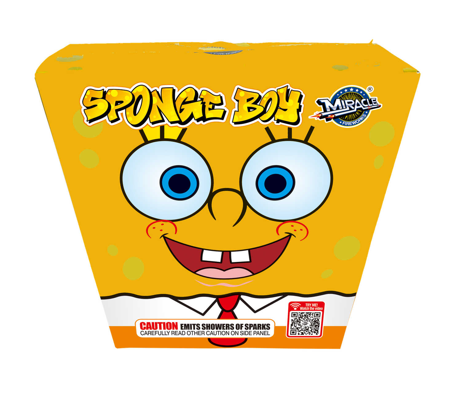 SPONGE BOY FOUNTAIN - (24/1)