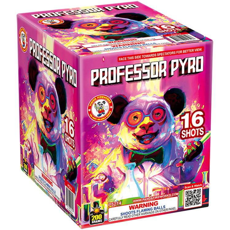 PROFESSOR PYRO - 16 shot 200 gram (12/1)