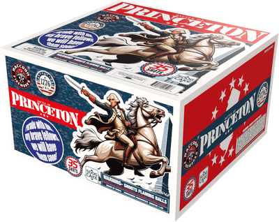 BATTLE OF PRINCETON - 36 Shot Cake - (4/1)