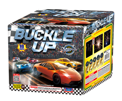 BUCKLE UP - 18 Shot Cake - (4/1)