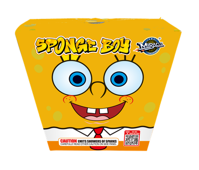 SPONGE BOY FOUNTAIN - (24/1)