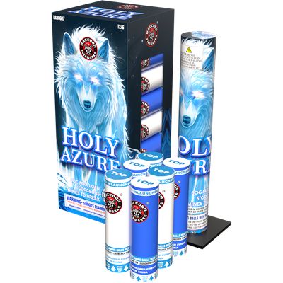 5" HOLY AZURE BLUE SHELLS - (12/6)