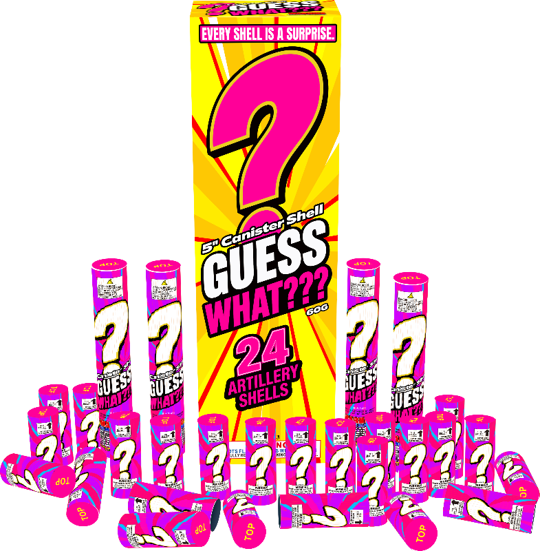 GUESS WHAT? CANISTER SHELLS - (4/24)