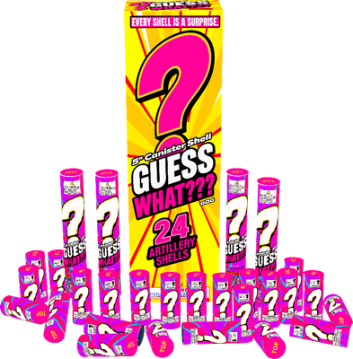 GUESS WHAT? CANISTER SHELLS - (4/24)