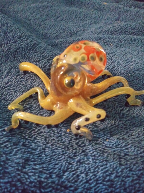 Octopus &quot;Orange Dream&quot;