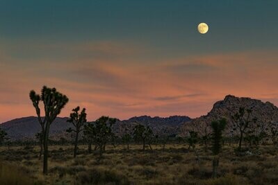 Full Moon over Joshua Tree National Park