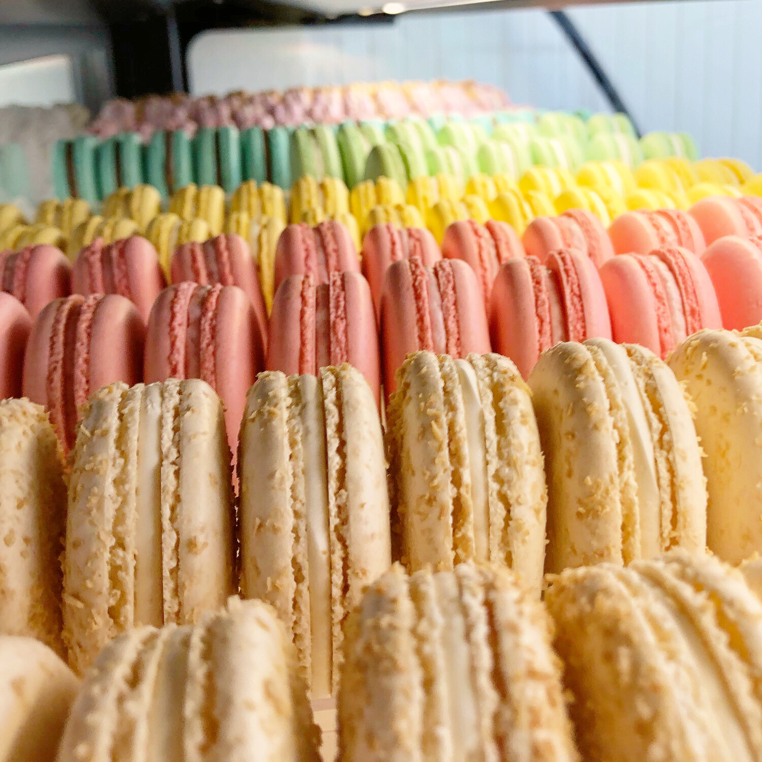 French Macarons, 12 pack