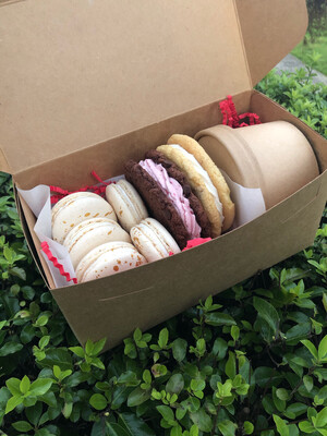 Gals Valentine Cookie Box
