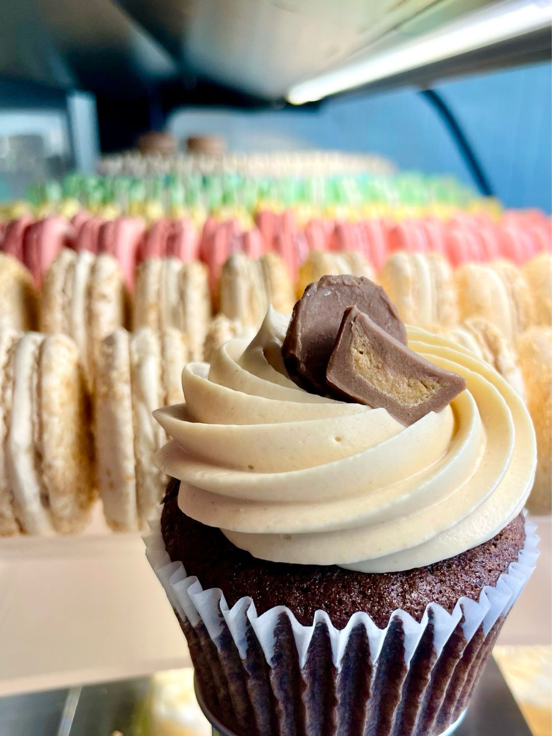 One Dozen Cupcakes