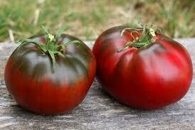עגבניה BIG