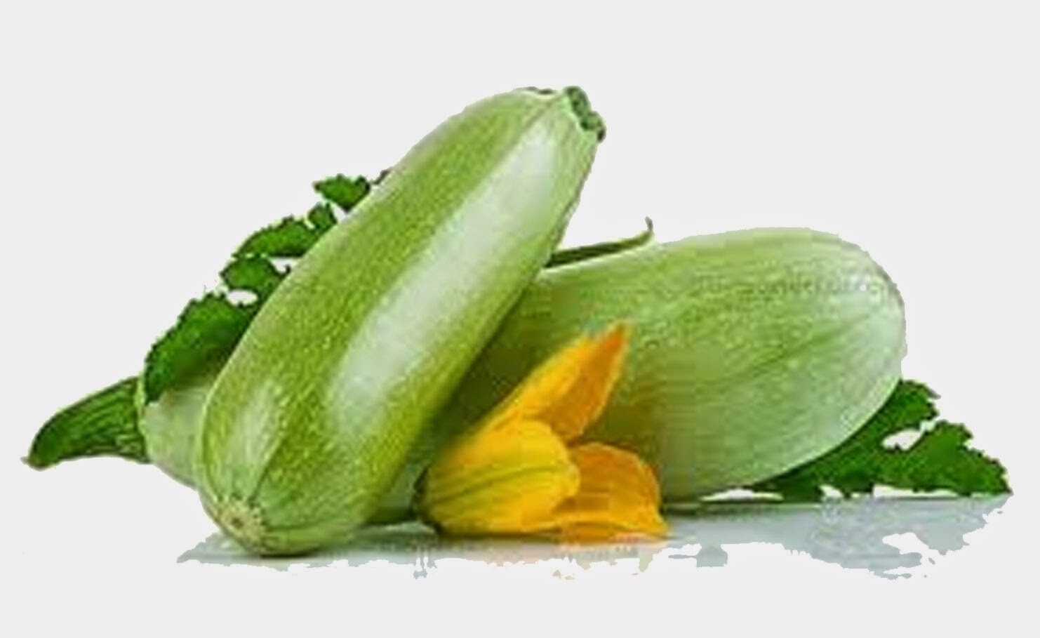קישוא