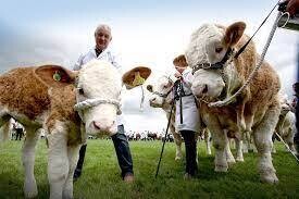 Wed 10th July 2024 Great Yorkshire Show Day Excursion