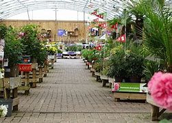 Wed 29th October 2025 Northallerton Market & Arcadia Garden Centre Day Excursion