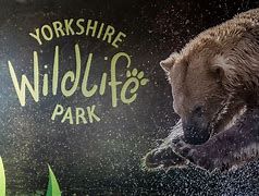 Sat 30th August 2025 Yorkshire Wildlife Park Day Excursion