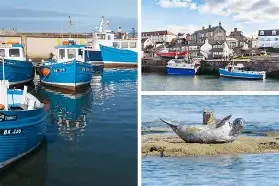 Sat 11th July 2026 Seahouses & Bambrough Day Excursion