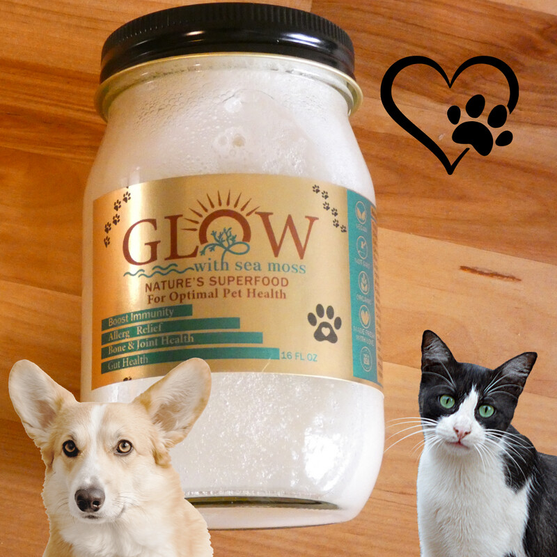 Sea Moss Gel For Pets