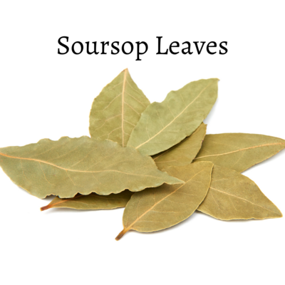 Soursop Leaves