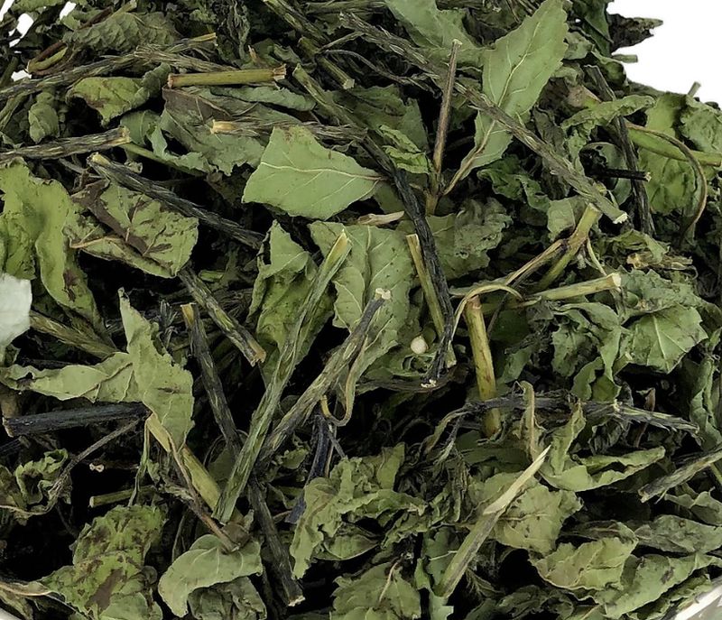 Blue Vervain, Wildcrafted