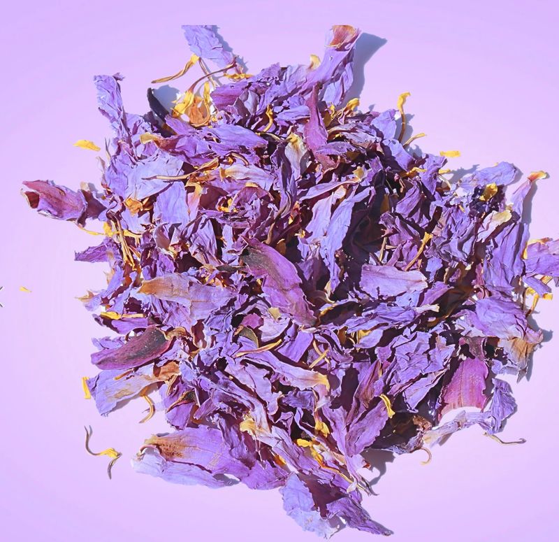 Egyptian Blue Lotus, Organic