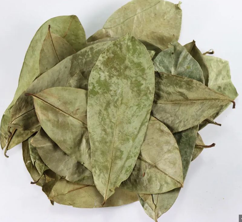 Soursop Leaves