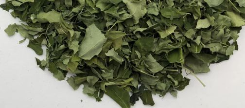 Moringa Leaves, Organic
