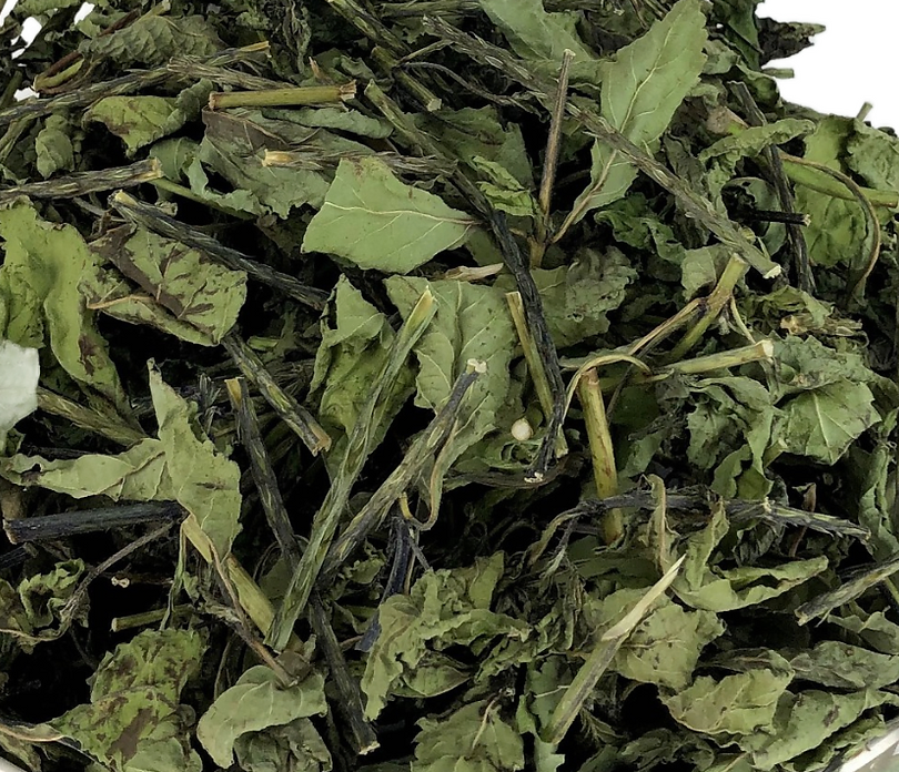 Blue Vervain, Wild Harvested