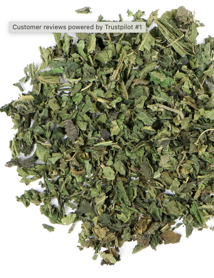 Nettle Leaf, Organic