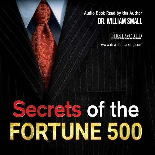 Secrets of the Fortune 500 - Audio Book