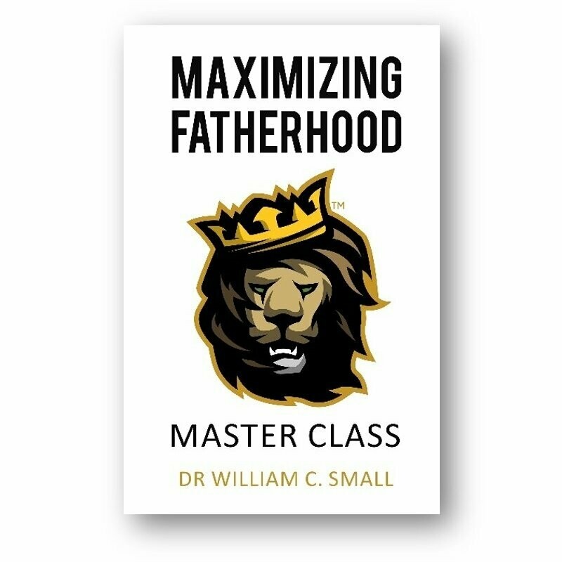 Maximizing Fatherhood - Ebook
