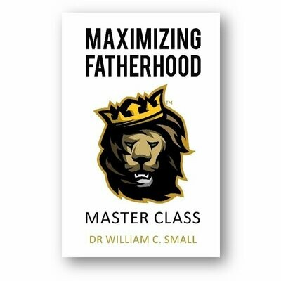 Maximizing Fatherhood - Ebook