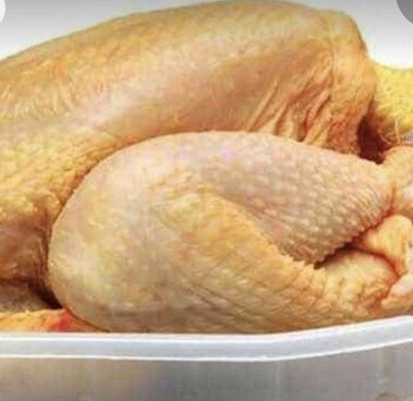 Pollo pelado a mano