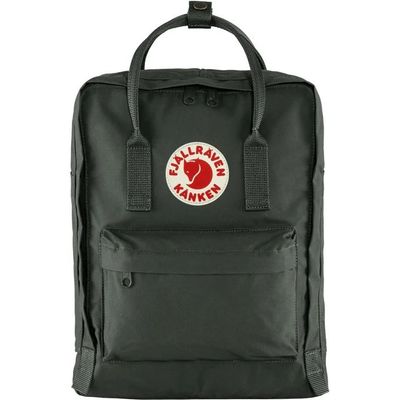 FJALLRAVEN