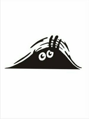 Hide